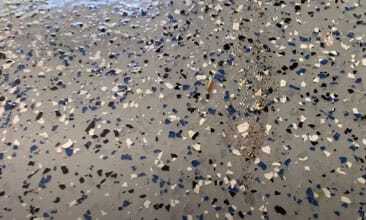 Garage-Floor-Epoxy-Contractors-7
